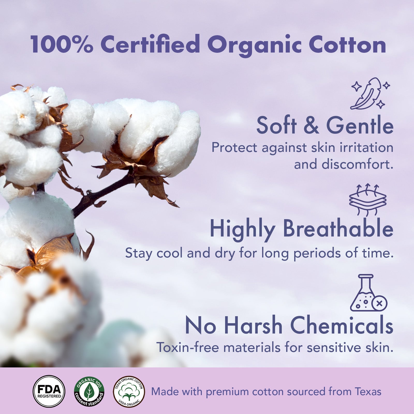 Rael Organic Cotton Period Underwear (L/XL) 5s