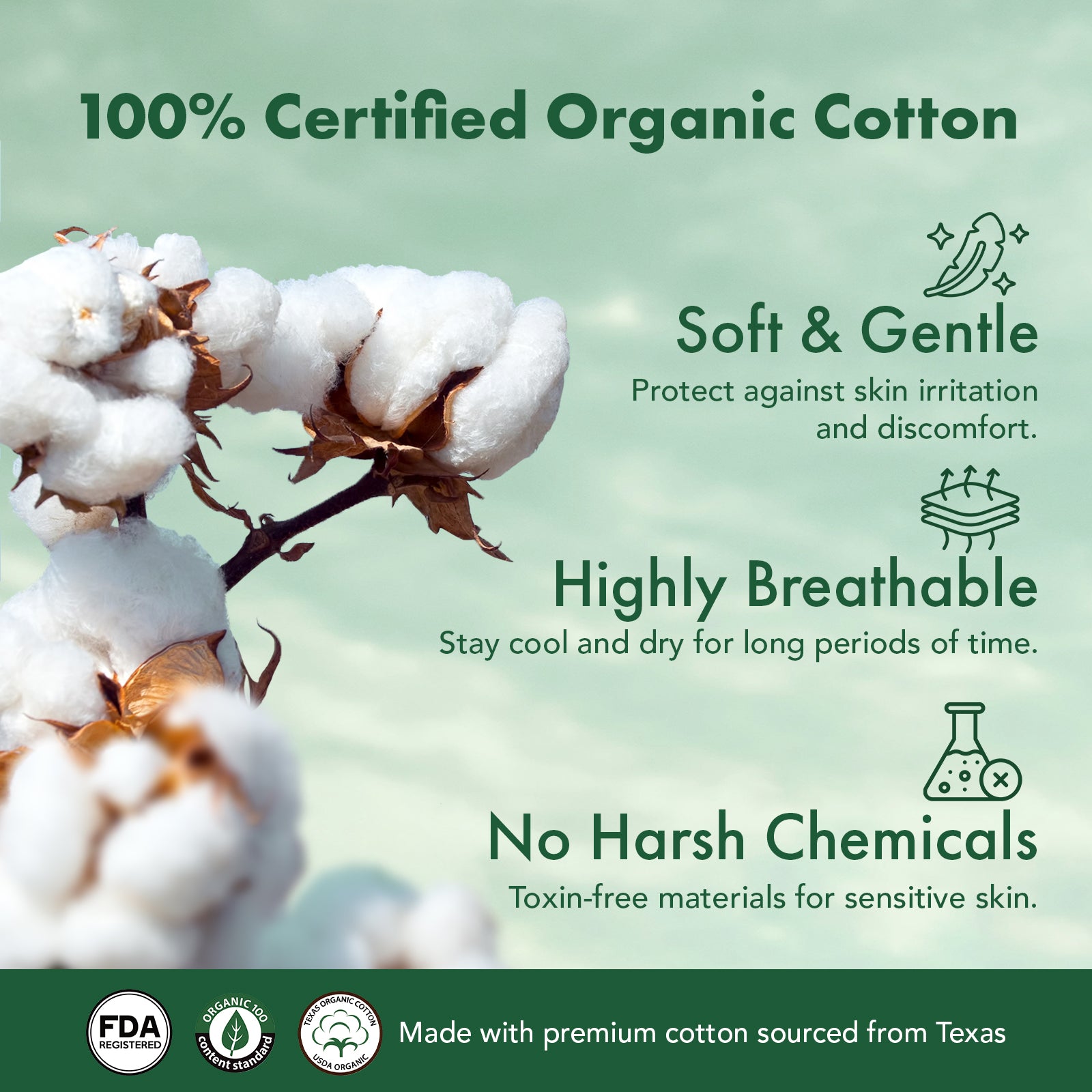 Rael Regular Liners with Organic Cotton Cover 20s
